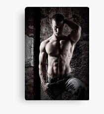 Defined Canvas Print