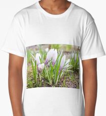 Wet flowers of crocuses. Long T-Shirt