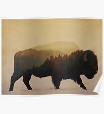 Póster Bisonte