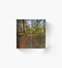 Pathway through the green Acrylic Block
