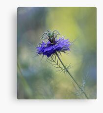 Blue Love in the Mist Metal Print
