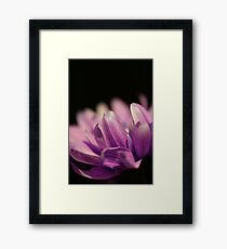 Macro flower Framed Print