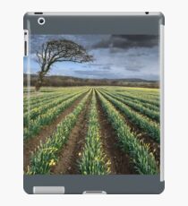 Spring Daffodils iPad Case/Skin
