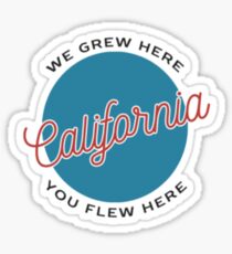 Brandy Melville California Sticker