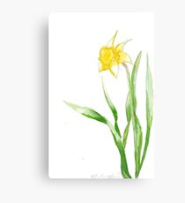 Daffy 2 Canvas Print