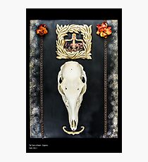 Tarot of Bones - Empress Photographic Print