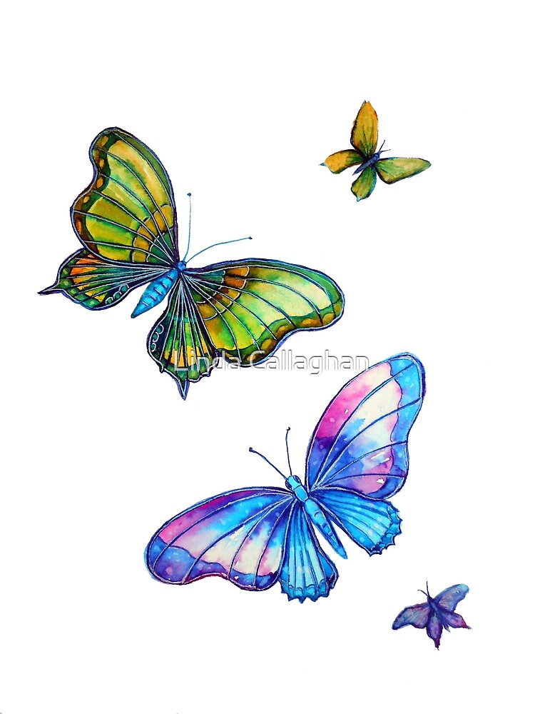 Butterflies - Follow the Leader by Linda Callaghan