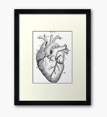 Anatomical Heart Framed Print