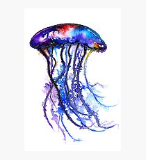 Jellyfish Photographic Print
