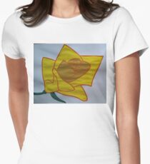 Women's, kids, T-shirts, dresses, cases&skins, art boards, pillows, clocks Women's Fitted T-Shirt
