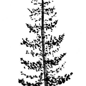 Simple Pine Tree Sticker