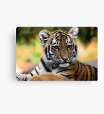 Styling Canvas Print