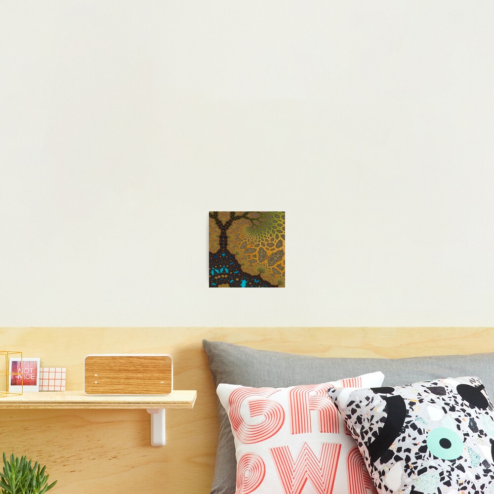 Sheltered Photographic Print
