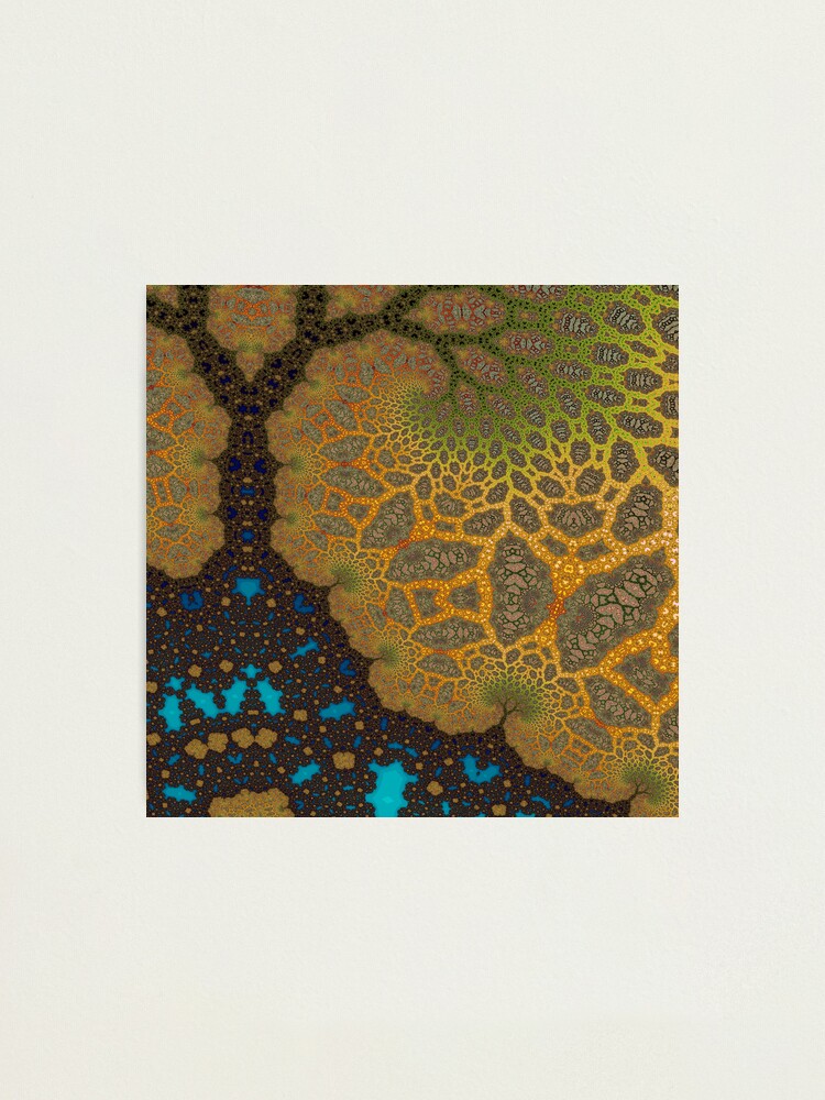 Alternate view of Sheltered Photographic Print