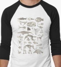 Paleontology Illustration Baseball ¾ Sleeve T-Shirt