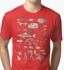 Paleontology Illustration Tri-blend T-Shirt