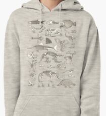 Paleontology Illustration Pullover Hoodie