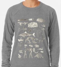 Paläontologie-Illustration Leichtes Sweatshirt
