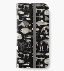 Paleontology Illustration iPhone Wallet/Case/Skin