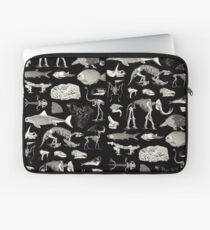 Paleontology Illustration Laptop Sleeve
