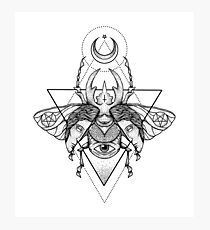 Occult Beetle II Photographic Print