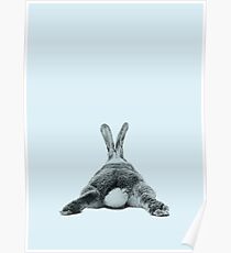 Rabbit 24 Poster