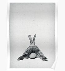 Rabbit 20 Poster