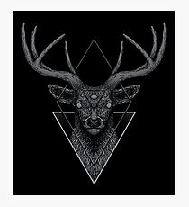 Dark Deer Photographic Print