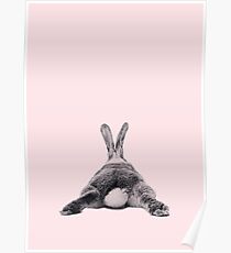 Rabbit 22 Poster