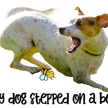 My dog stepped on a bee 😩