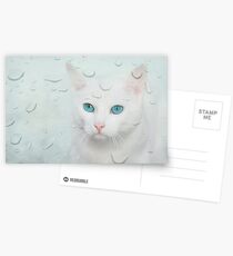 saphira Postcards