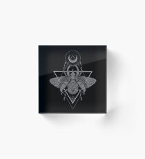 Occult Beetle Acrylic Block