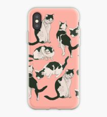 Crazy About Cats iPhone Case