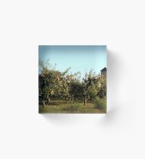 Apple trees Acrylic Block