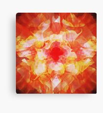 Force Canvas Print
