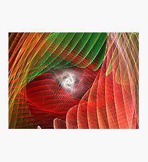 Matrix Photographic Print