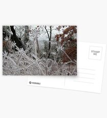 Frozen Landscape Postcards