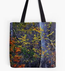 Rare colors of the Santee... Tote Bag