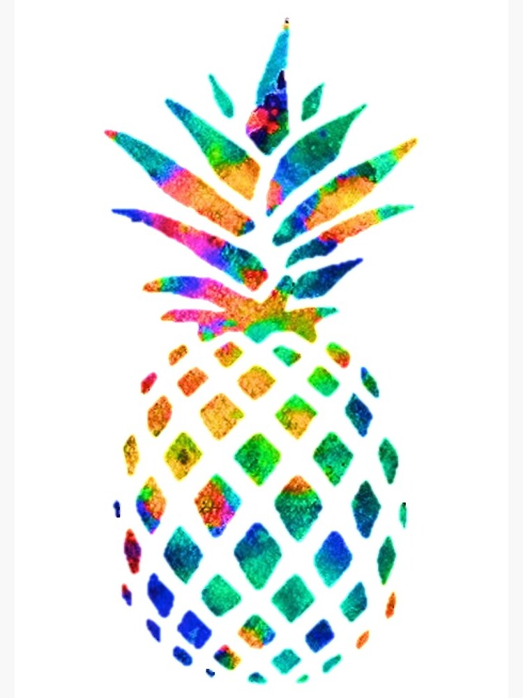 Rainbow Pineapple by erinaugusta