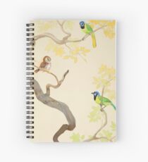 Fierce Little Pygmy Owl Spiral Notebook