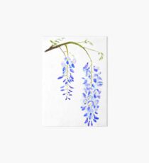 purple wisteria Art Board
