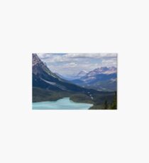 Relaxing Summer Mountain Vacation Nature Photography Art Board