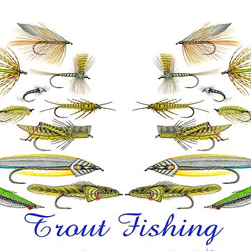 Trout Fishing Flies Poster for Sale by stuartk