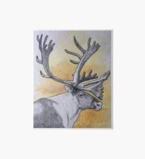 Caribou Art Board