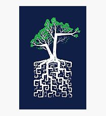 Square Root Photographic Print