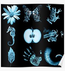 All nine glyphs of Fringe Poster