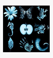 All nine glyphs of Fringe Photographic Print