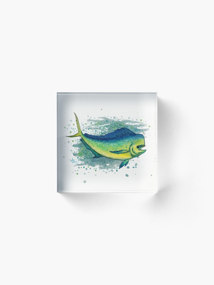 DOLPHIN 39/" Fish Decor Wall Art MAHI MAHI