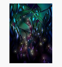 Nocturne (with Fireflies) Photographic Print