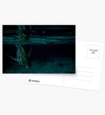The Groper Postcards